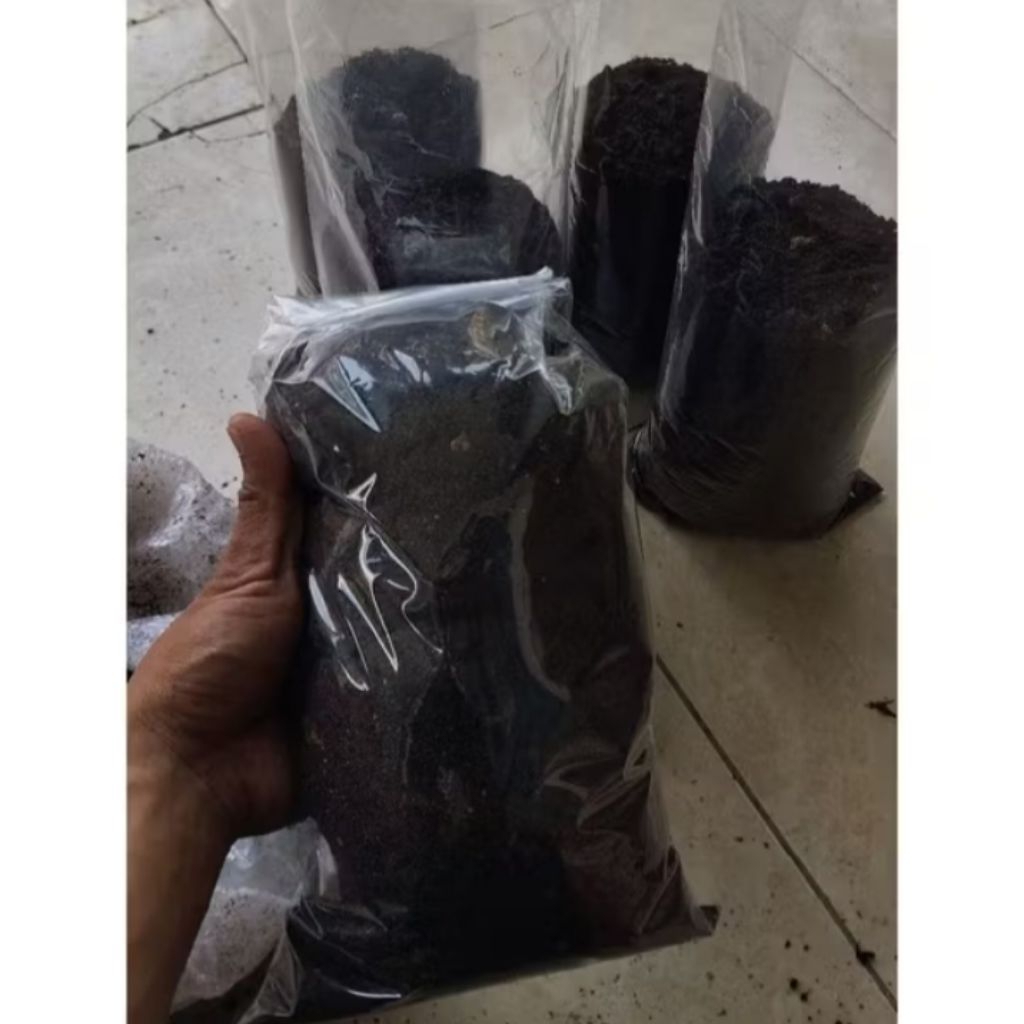 Pupuk Guano Organik Kotoran Kelelawar Murni Siap Pakai