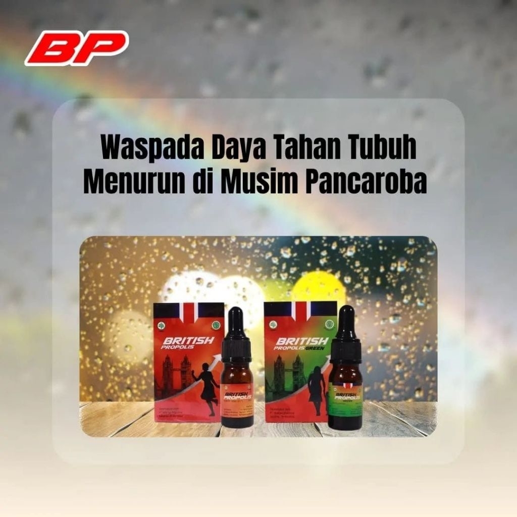 British Propolis asli original BP Britis Propolis