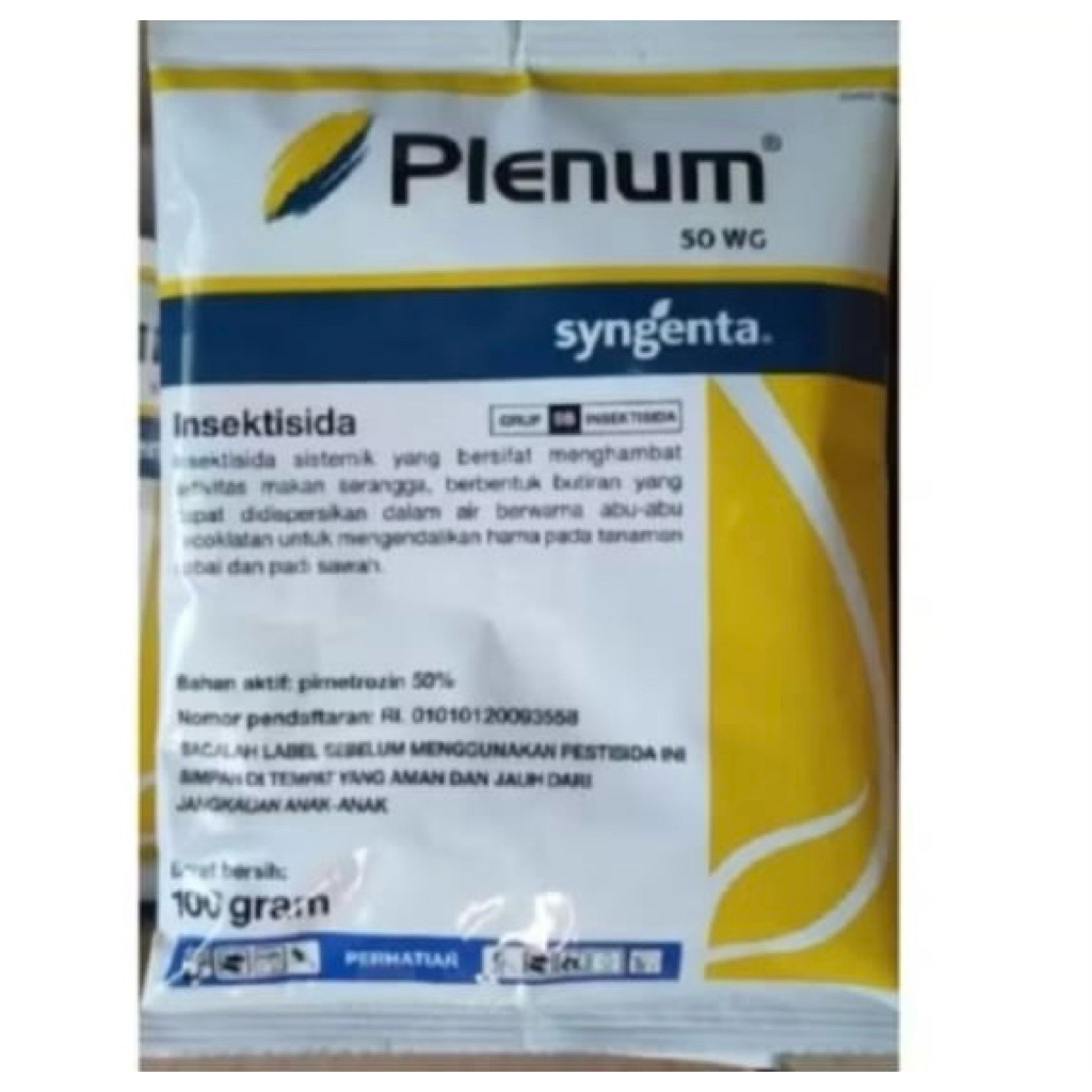 Plenum 100gram