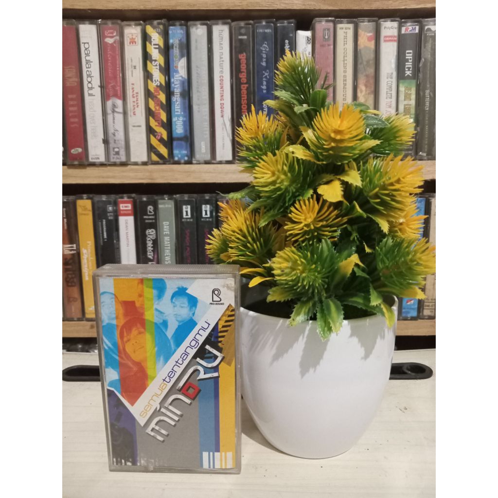 KASET MINORU SEMUA TENTANGMU