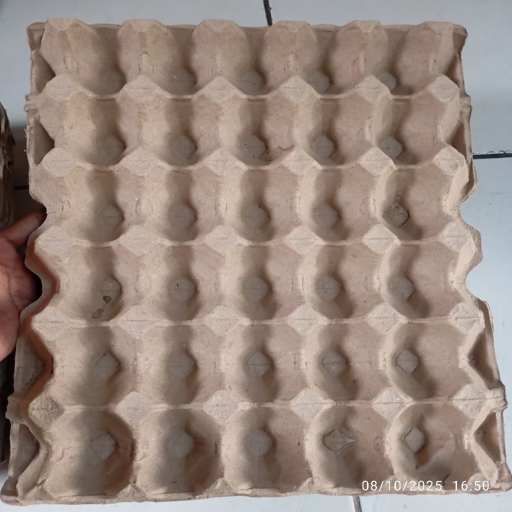 tray telur bekas murah 17