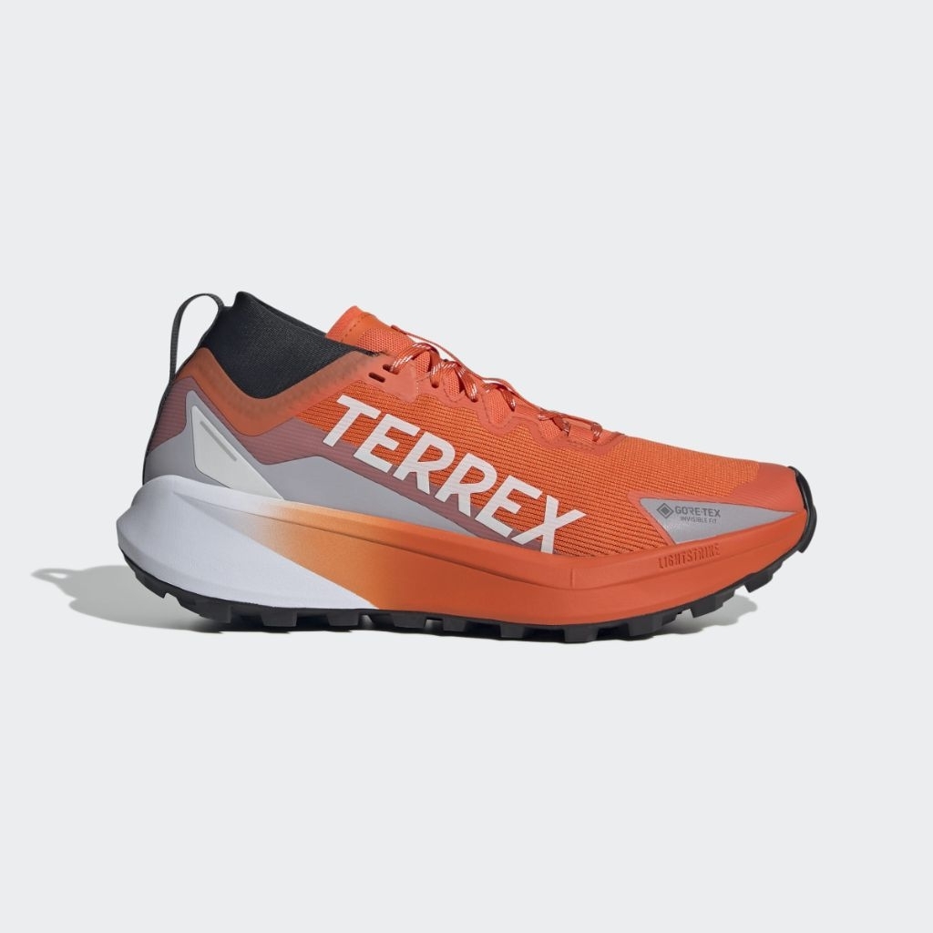 Sepatu Adidas Terrex Agravic Gtx Multicolor Men Original