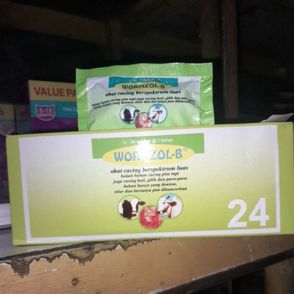 1 Kotak WORMZOL-B 24bolus - Obat Cacing Hewan