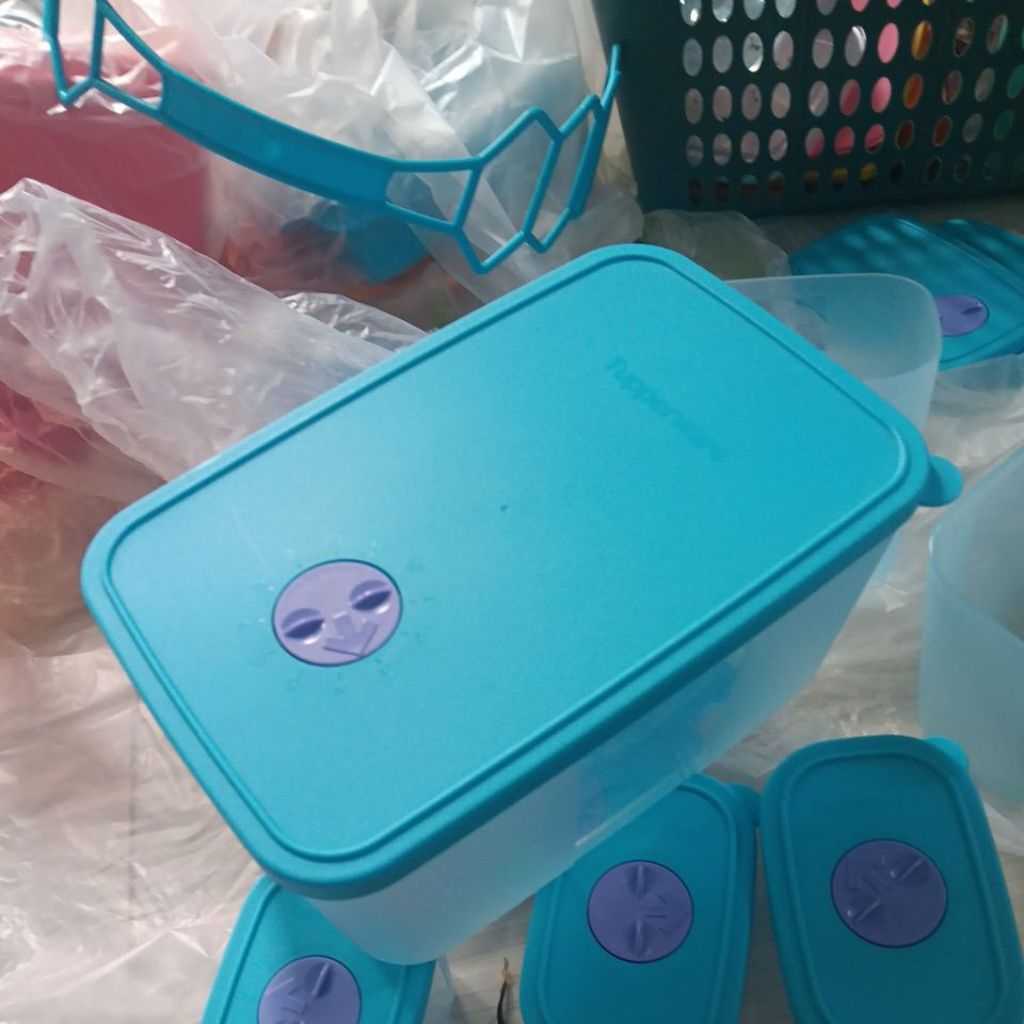 Freezermate tupperware