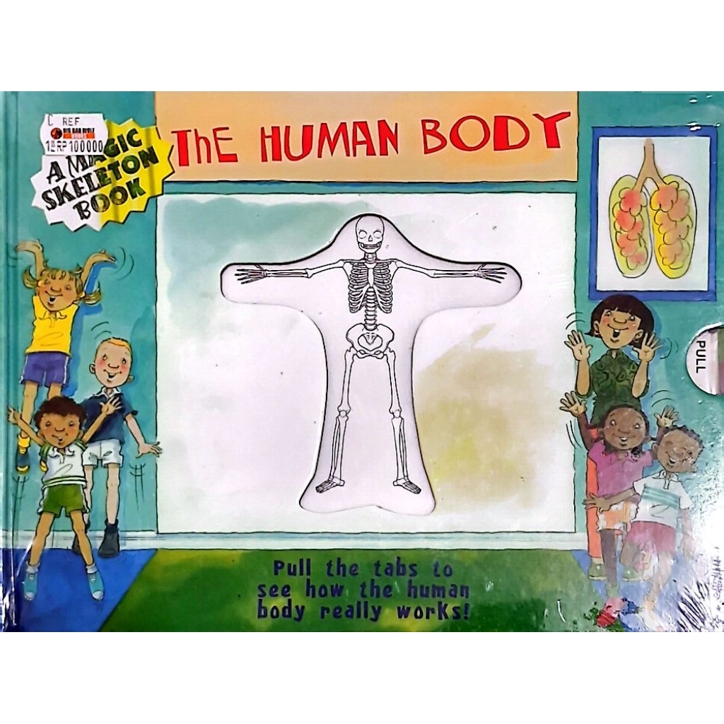 THE HUMAN BODY - Pull Up Book