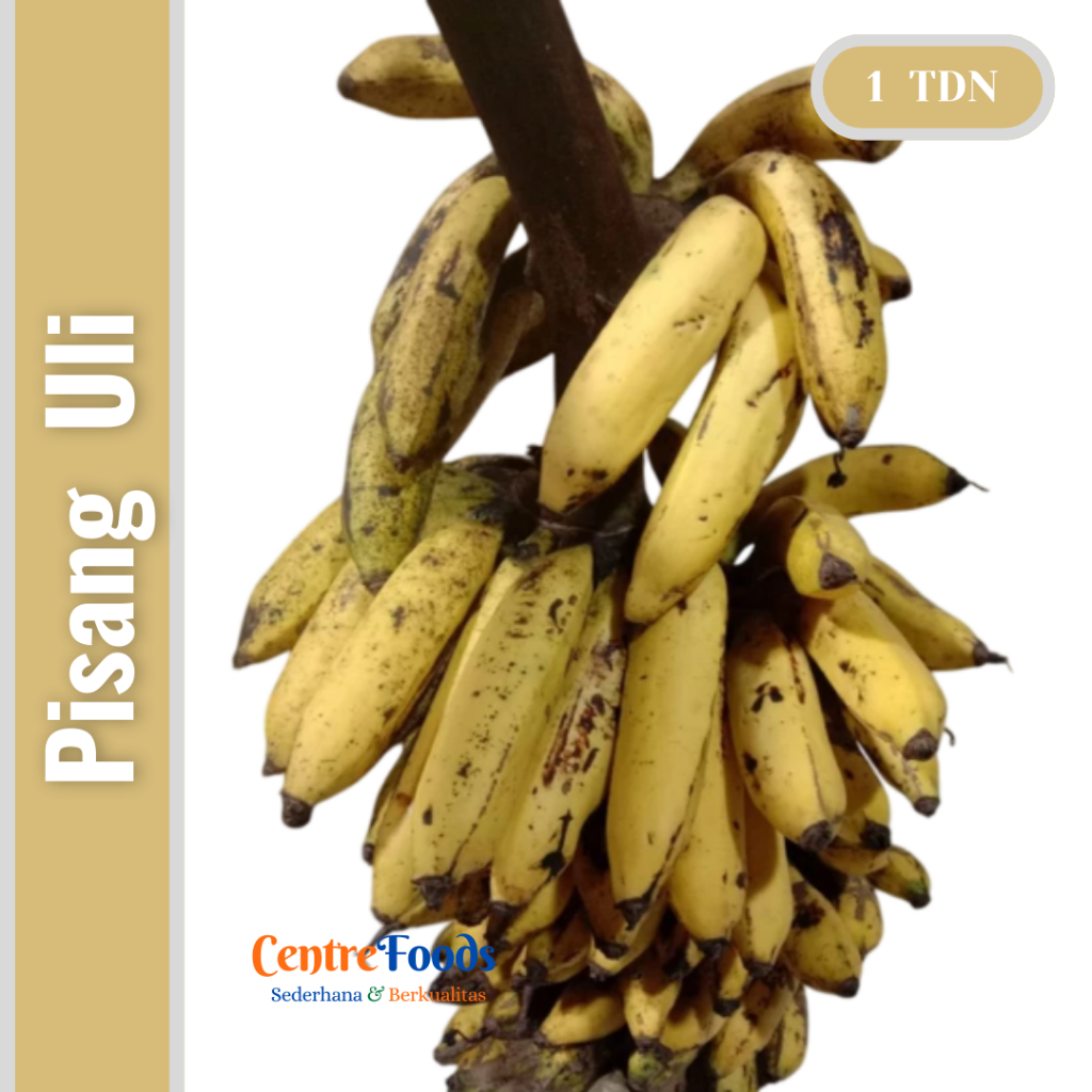 Pisang Uli Segar - Buah Pisang Raja Uli Fresh | 1 Tandan - 3-4 Sisir [ Harga Per TANDAN ]