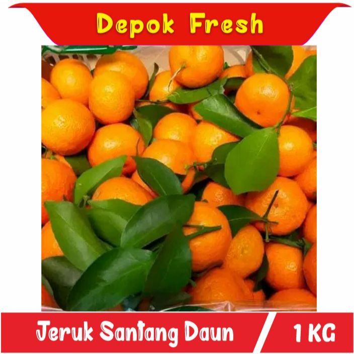 JERUK SANTANG DAUN SEGAR / BUAH SEGAR DEPOK FRESH