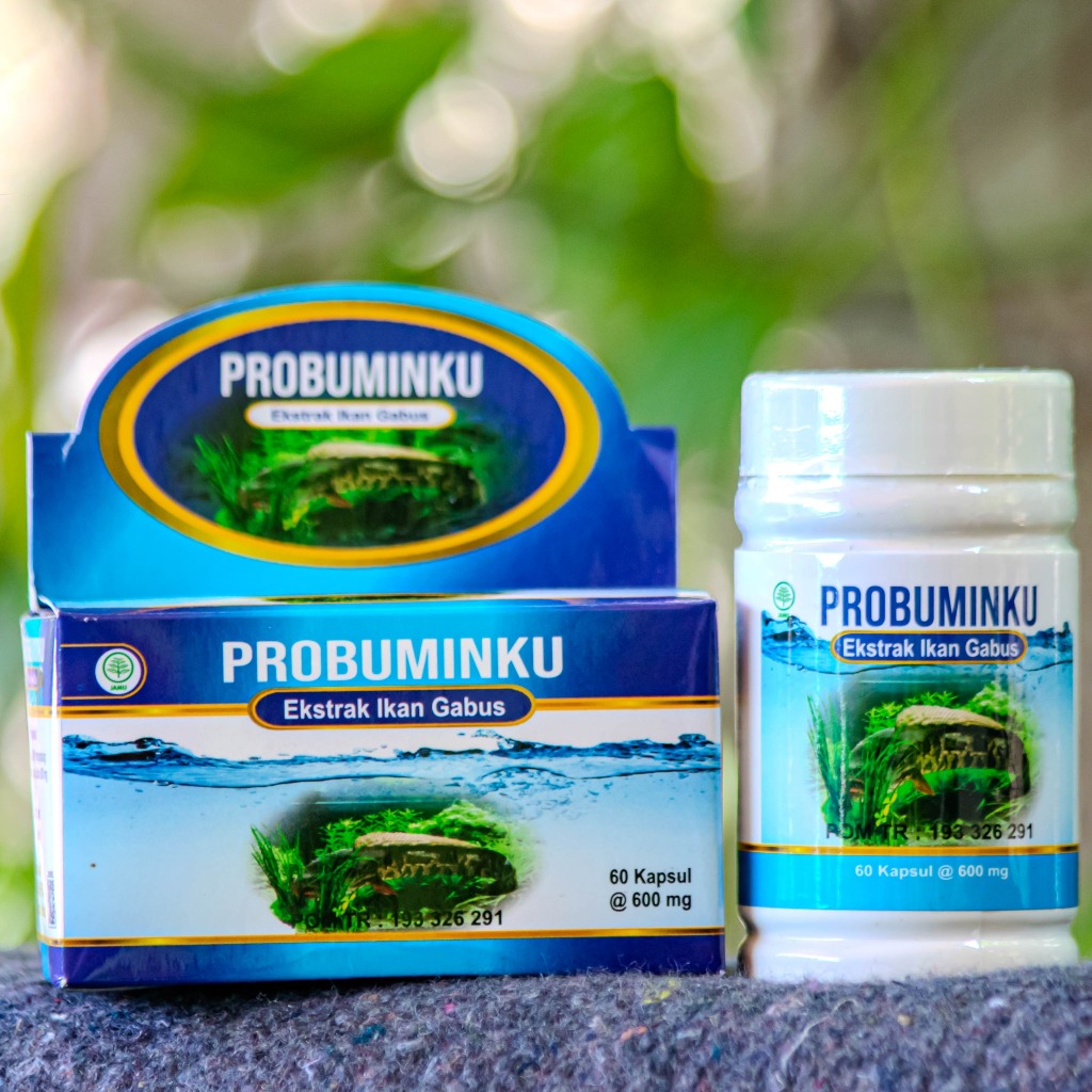 Kapsul Ekstrak Ikan Gabus Probuminku 60 Kapsul