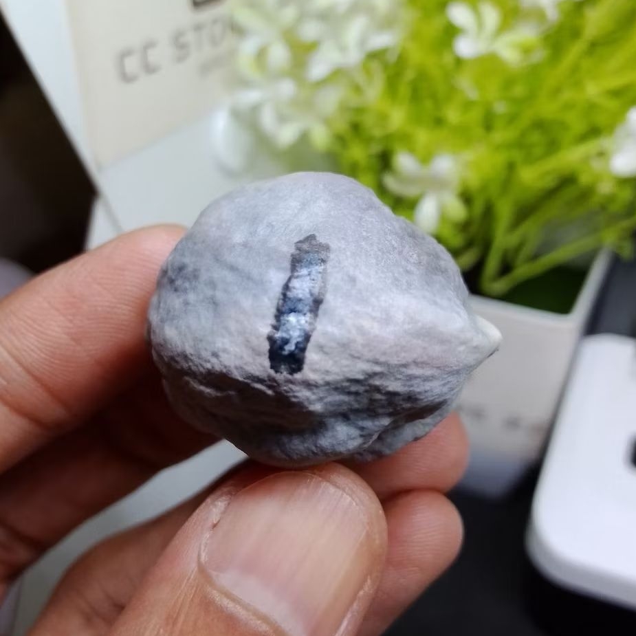 Muncang Adu ETI GIANT kode 1