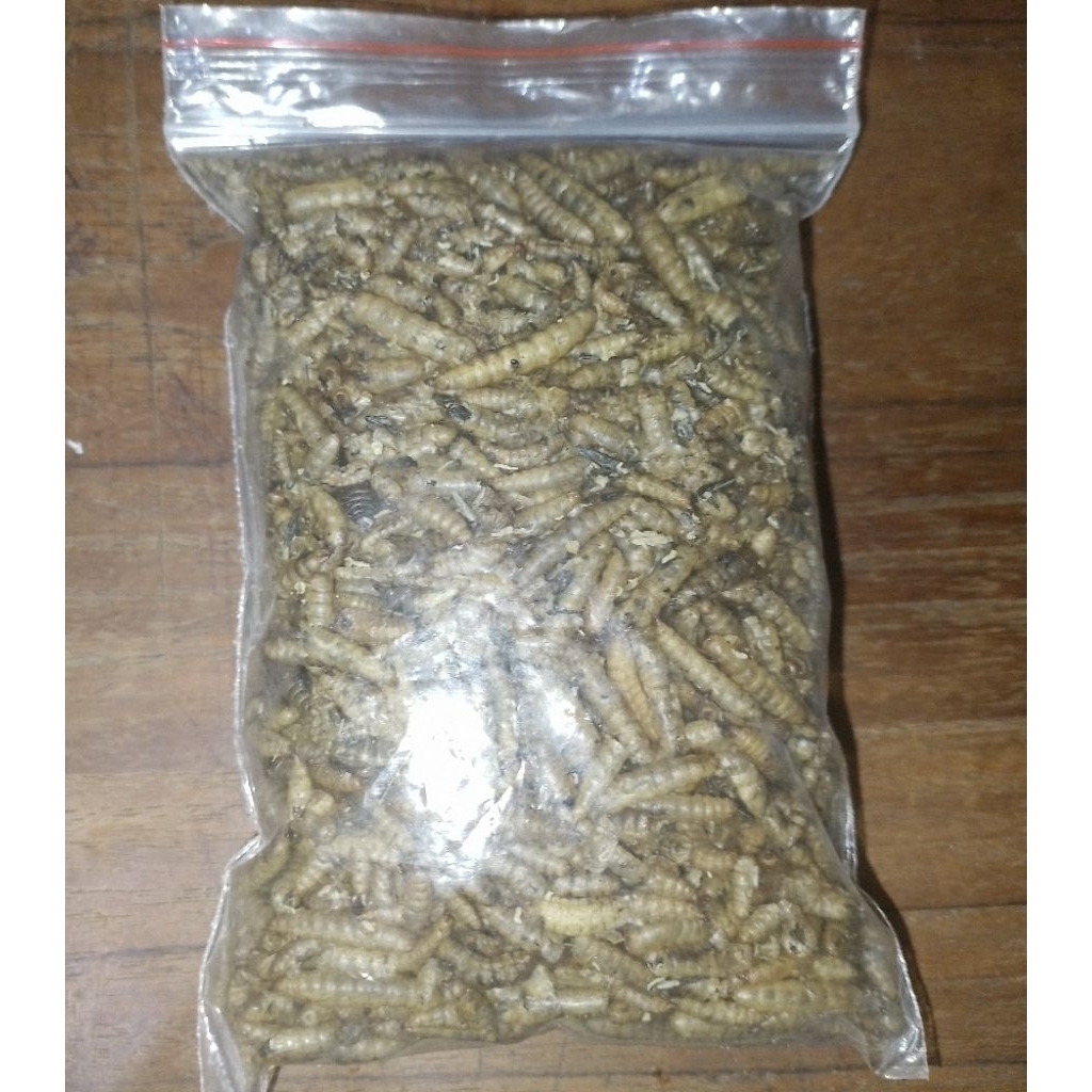 Maggot BSF 50gr