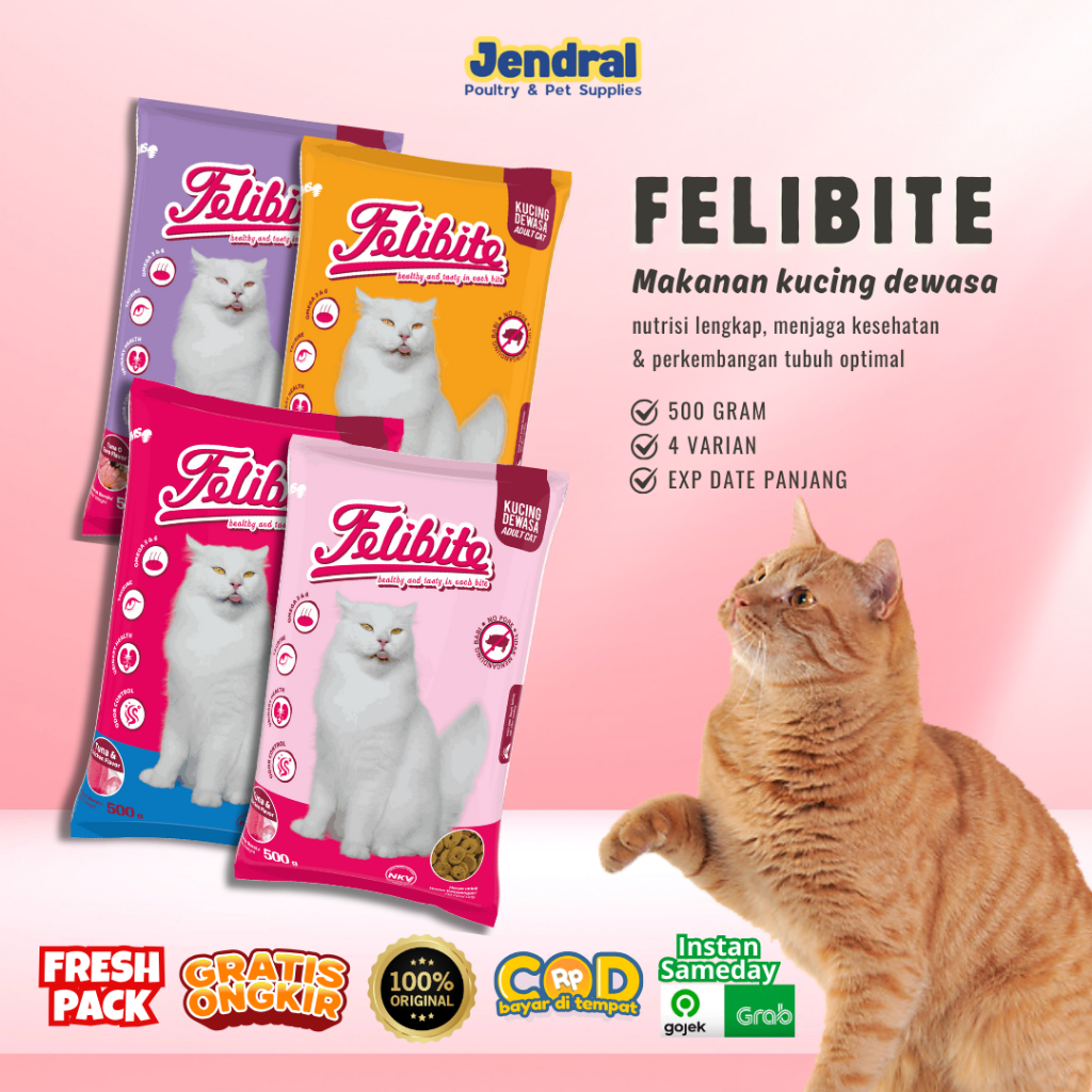 FELIBITE Pakan Kucing Dry Food Cat Makanan Kering Cocok Untuk Kucing Persia dan Jenis Lainnya 500 gr
