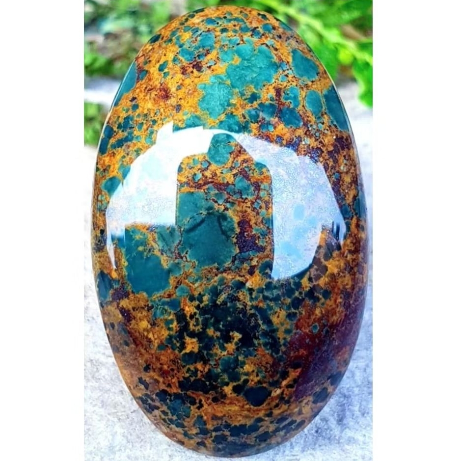 Natural Pirus Persia Hijau Tua Gradasi Jumbo