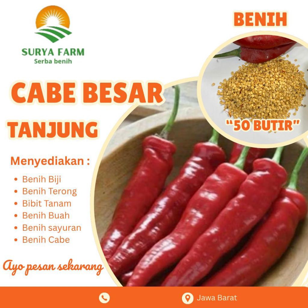Benih Biji Cabe Tanjung Surya Farm Kemasan/Bibit Cabe Besar Merah Tanjung Super Butiran