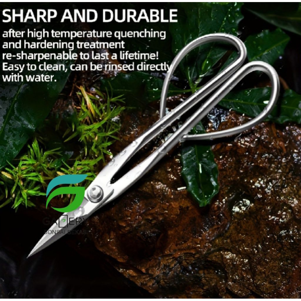 GUNTING PRUNING BONSAI ( STAINLEES STEEL )