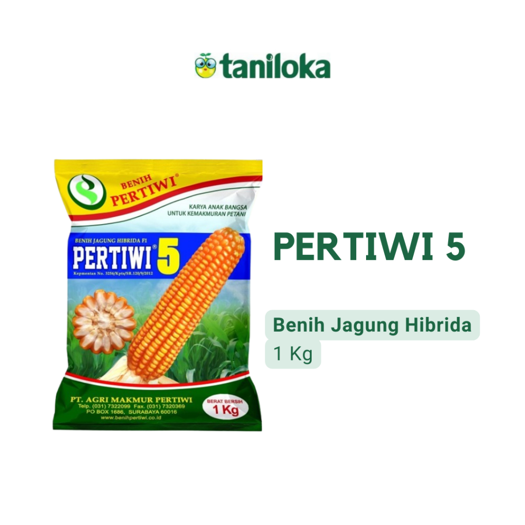 Benih Pertiwi - Benih Jagung Pertiwi 5 (1 Kg)