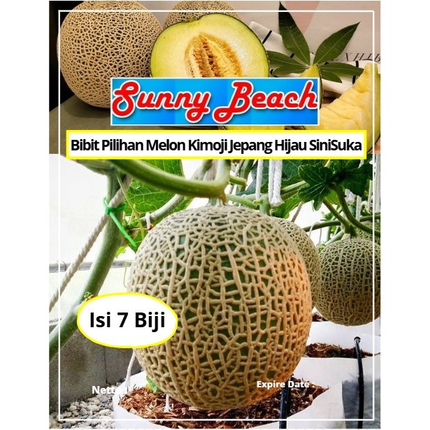 Bibit Pilihan Melon Kimoji Jepang Hijau SiniSuka | Biji Benih Melon Kimoji Jepang | Melon Kimoji