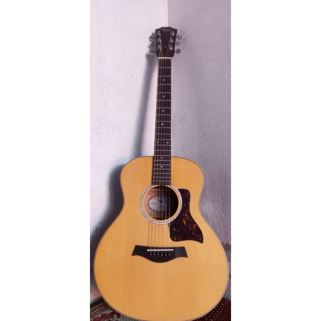 Taylor GS mini premium hq