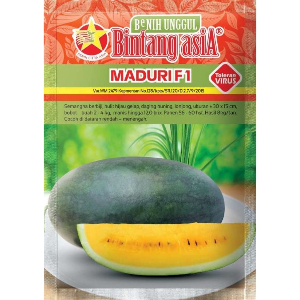 Benih Semangka Maduri F1 Bintang Asia | Bibit Semangka Kuning Lonjong Manis dan Tahan Virus