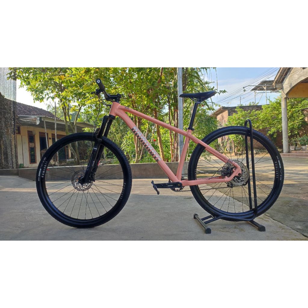 Sepeda MTB United Dominate AXC 2 ELITE size M 29er upgrade ban maxxis