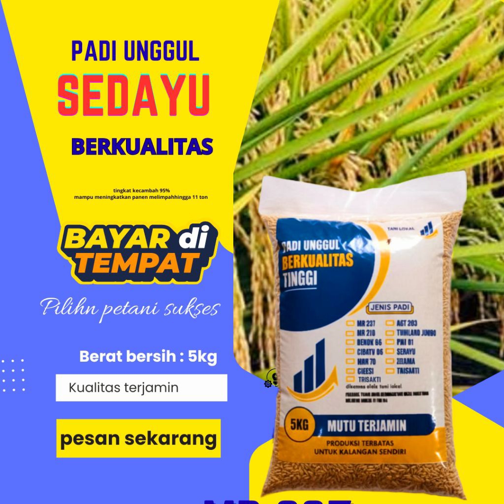 BENIH PADI SEDAYU KEMASAN 5K