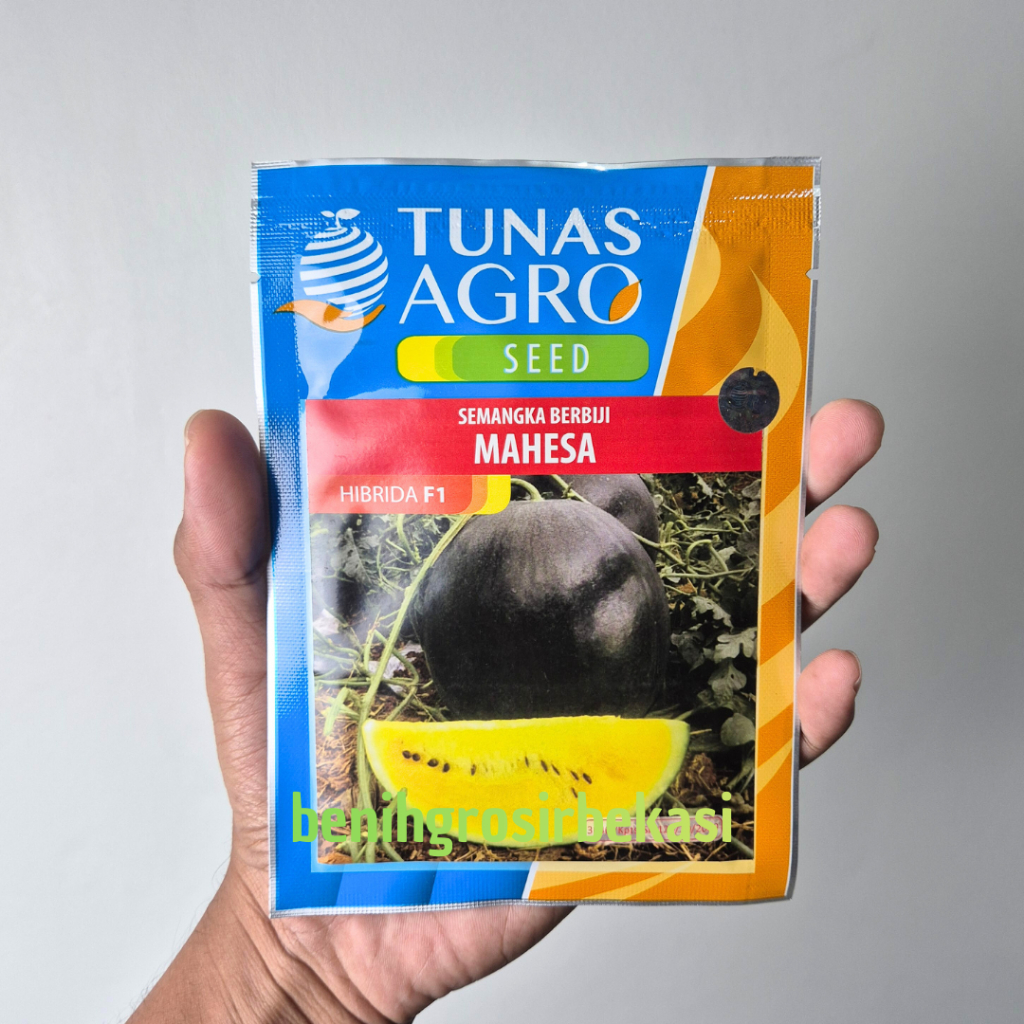 Benih bibit Semangka Kuning Berbiji MAHESA F1 Hibrida Seeds - Tunas Agro Seed - 20 GRAM