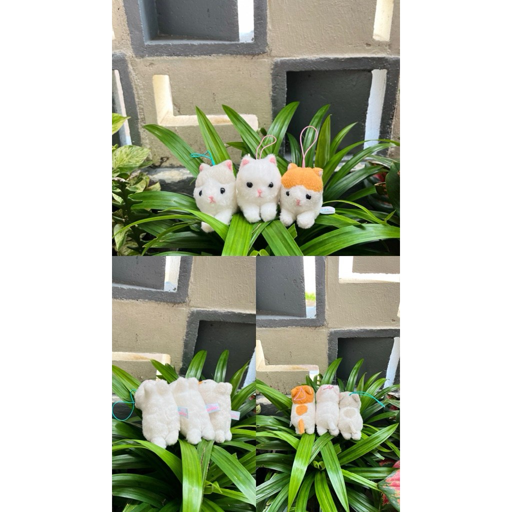 Ganci Kucing Amuse,Kucing Amuse ,Ganci Amuse