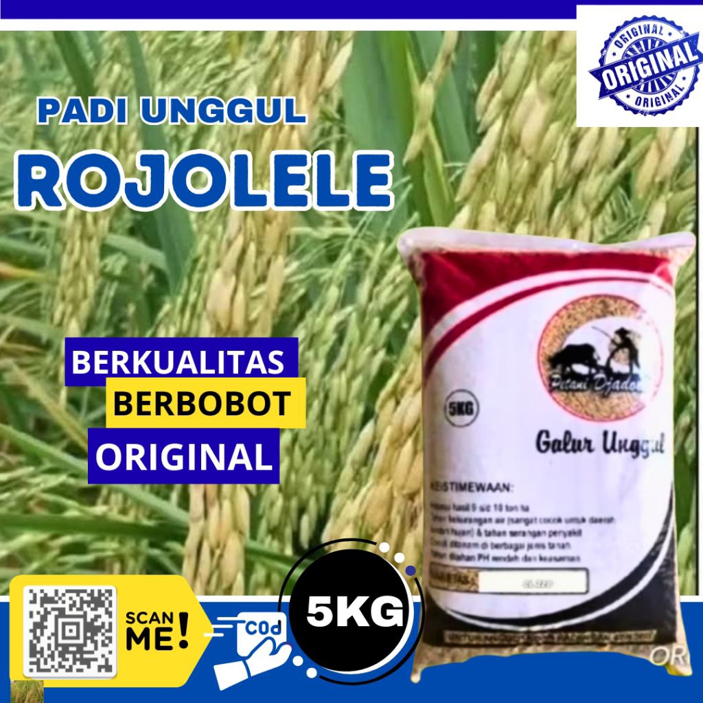 bibit benih padi unggul Rojolele kemasan 5kg Kualitas super