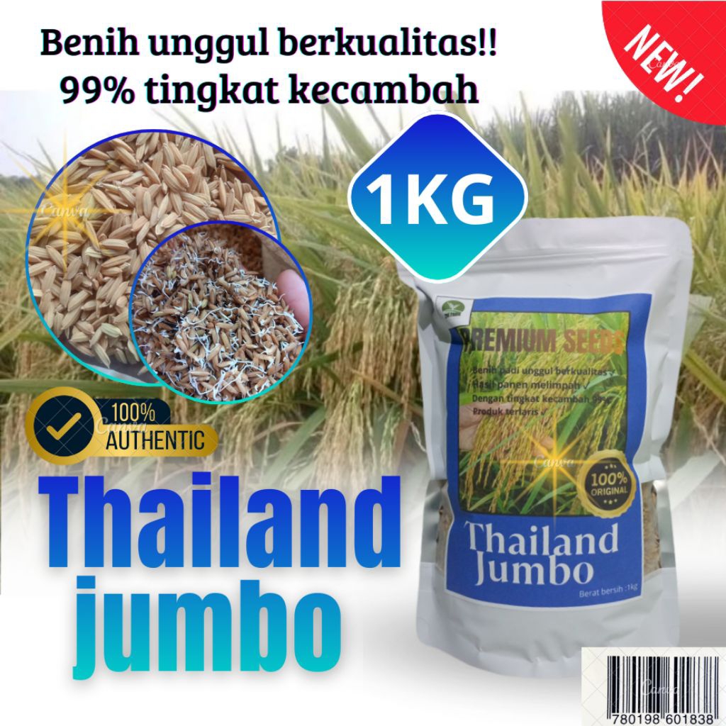 benih padi unggul Thailand jumbo padi viral benih padi premium 1kg
