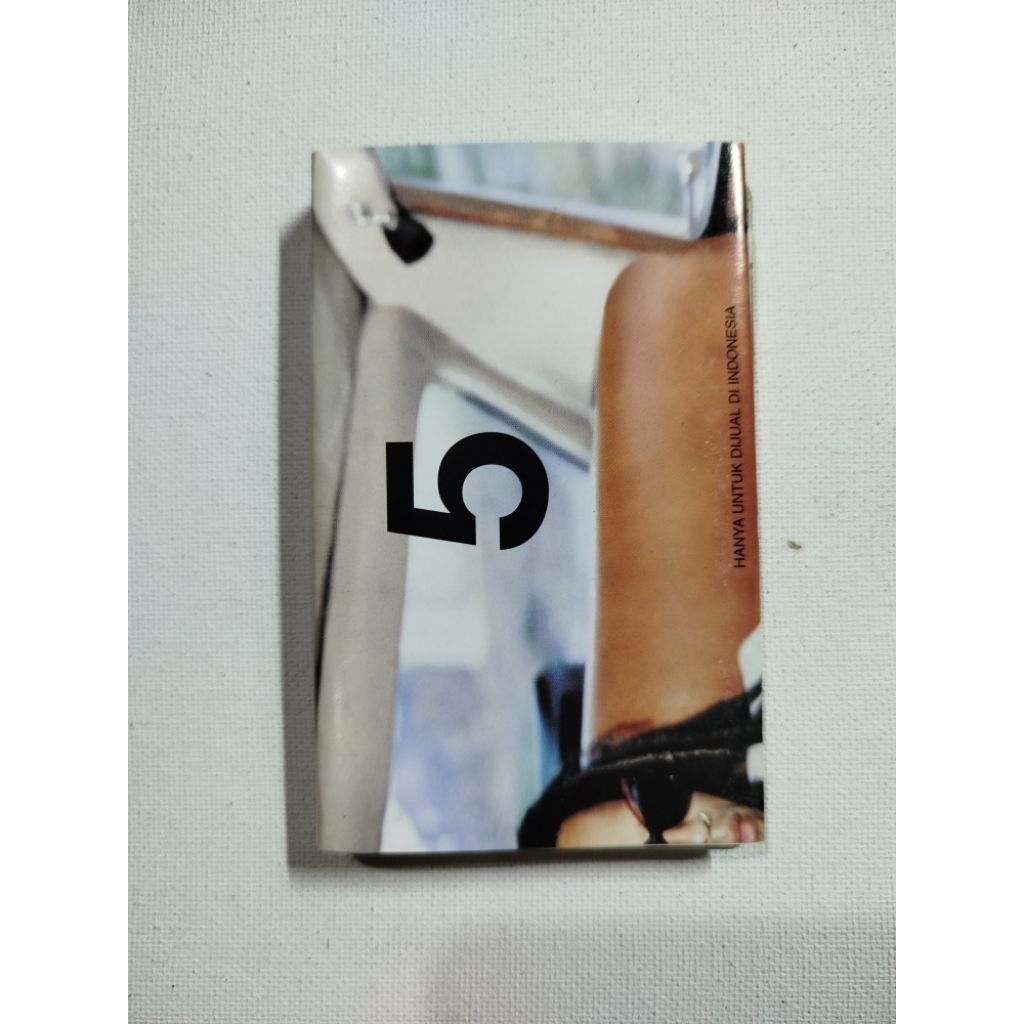 KASET PITA 447- LENNY KRAVITZ