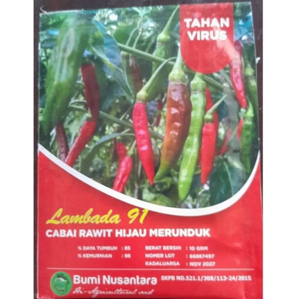 Benih Cabe Rawit Setan Hijau Merunduk LAMBADA Tahan VIRUS