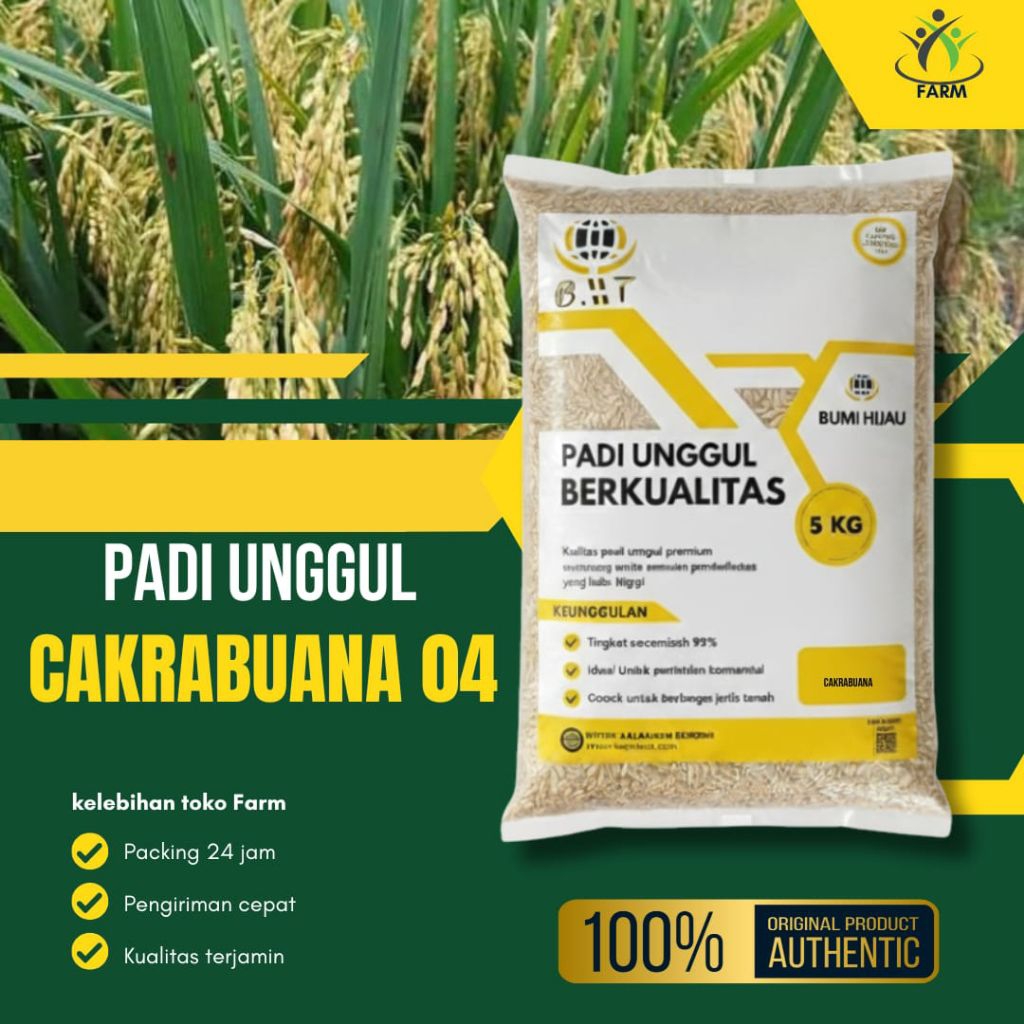 Benih padi unggul Cakrabuana 04 kemasan 5kg
