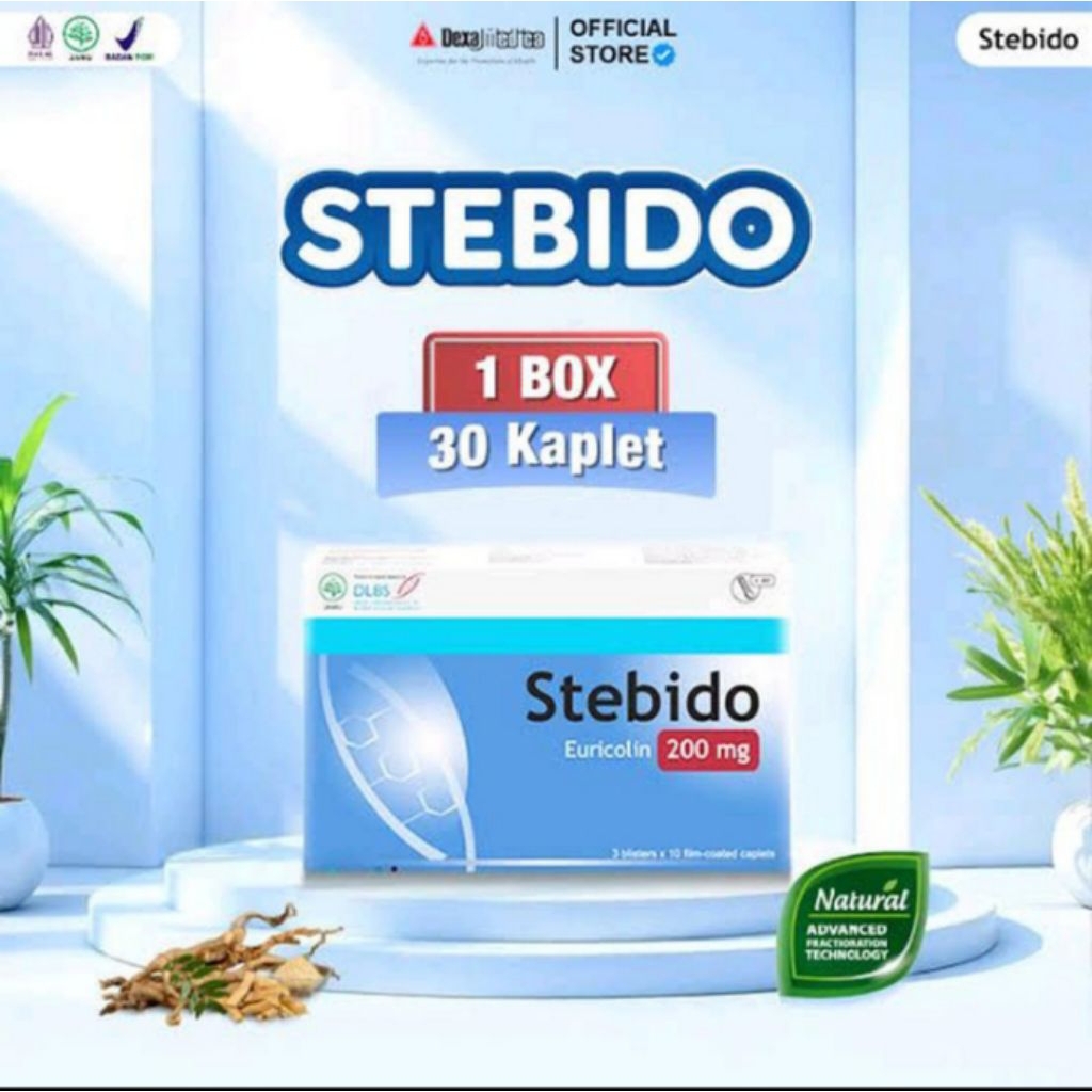 Stebido Herbal Peningkat Stamina Pria Dewasa Terbaik - Stebido 30 Kaplet 200 mg