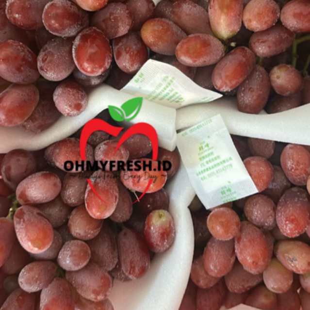Anggur Non Biji Anggur Crimson Maniss tanpa biji