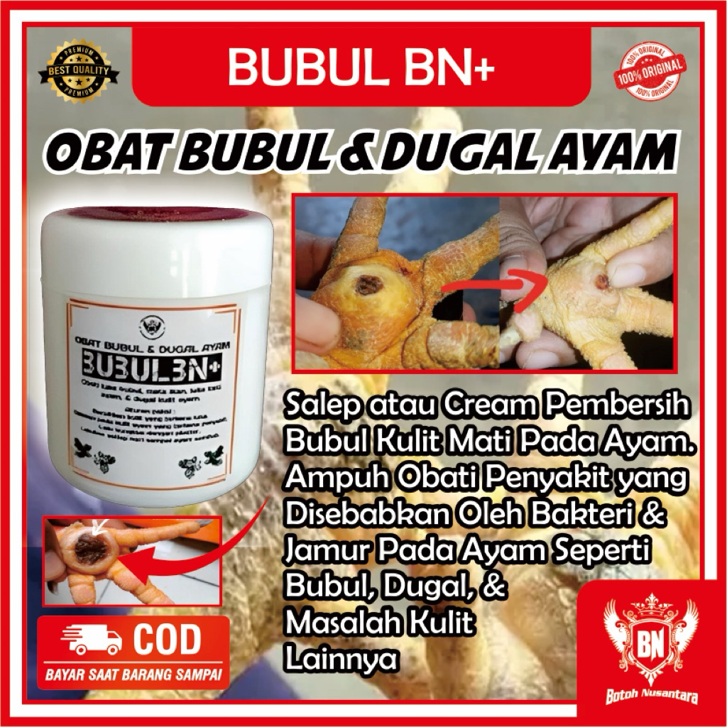 Obat Ayam Bubul BUBULBN+ salep mengobati kaki ayam bubul Dugal Air Ampuh