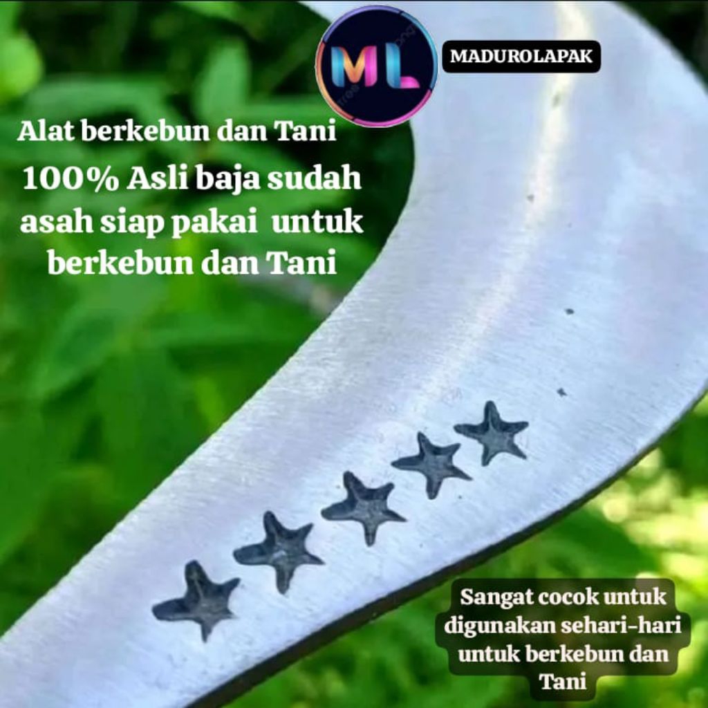 Arit Rumput Khusus Berkebun Asli Baja Cap Bintang Lima Khas Madura