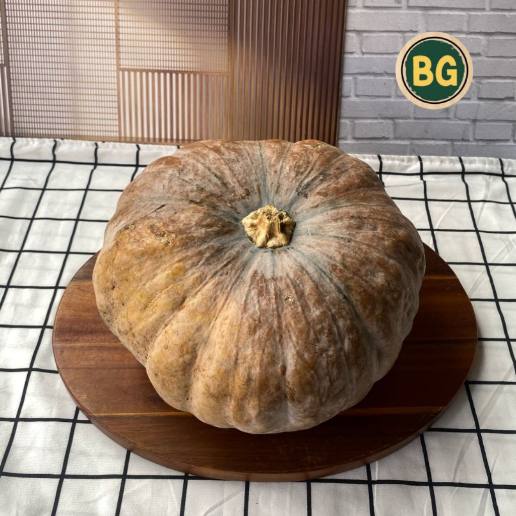 Labu kuning segar, labu kuning sedang, labu kuning