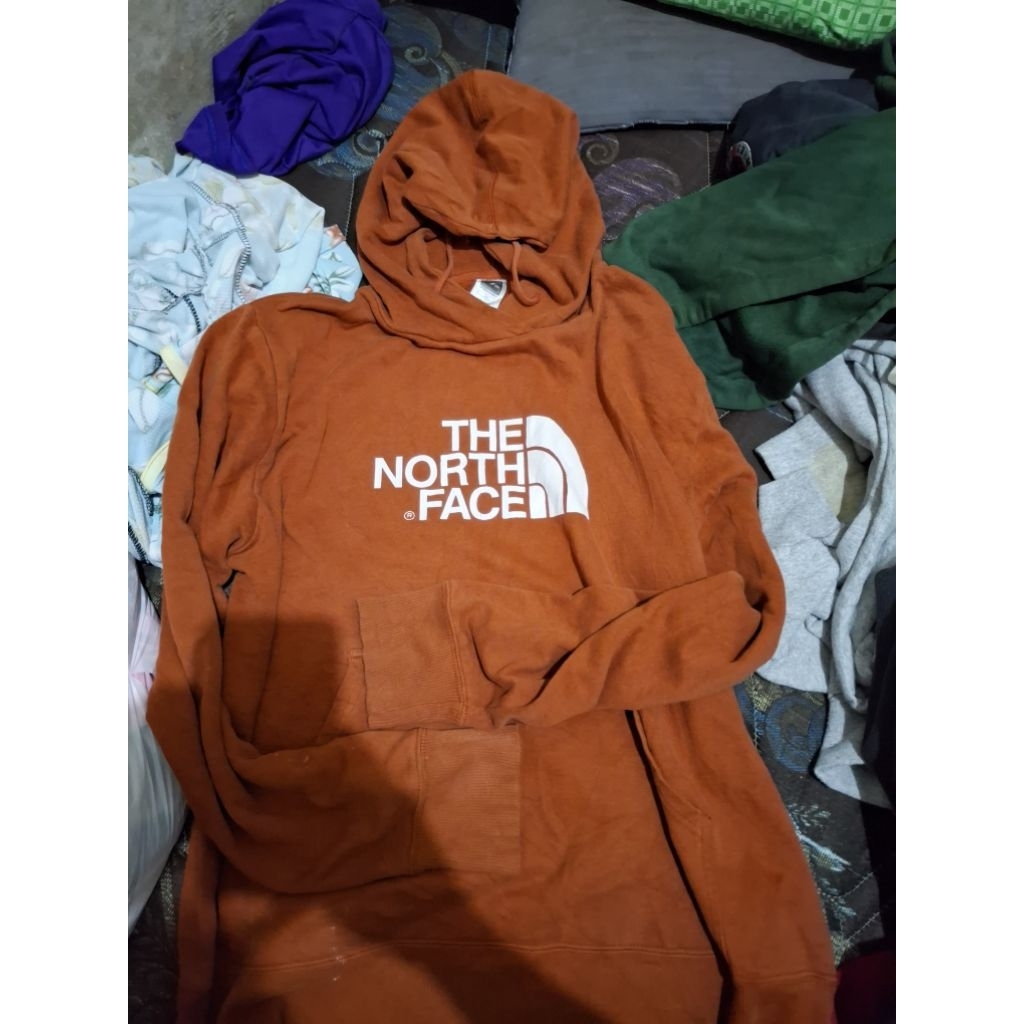 hoodie tnf