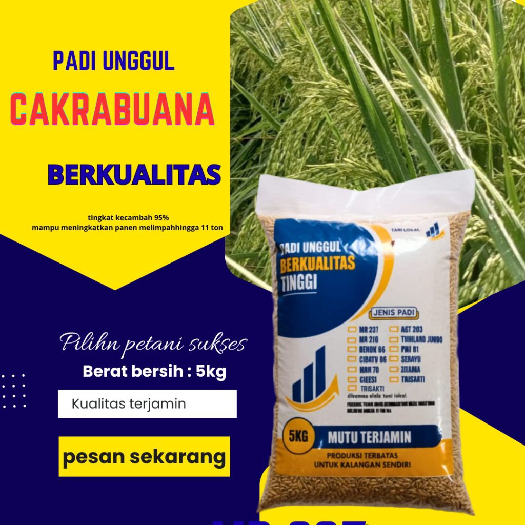 Padi unggul Cakrabuana 04 5kg