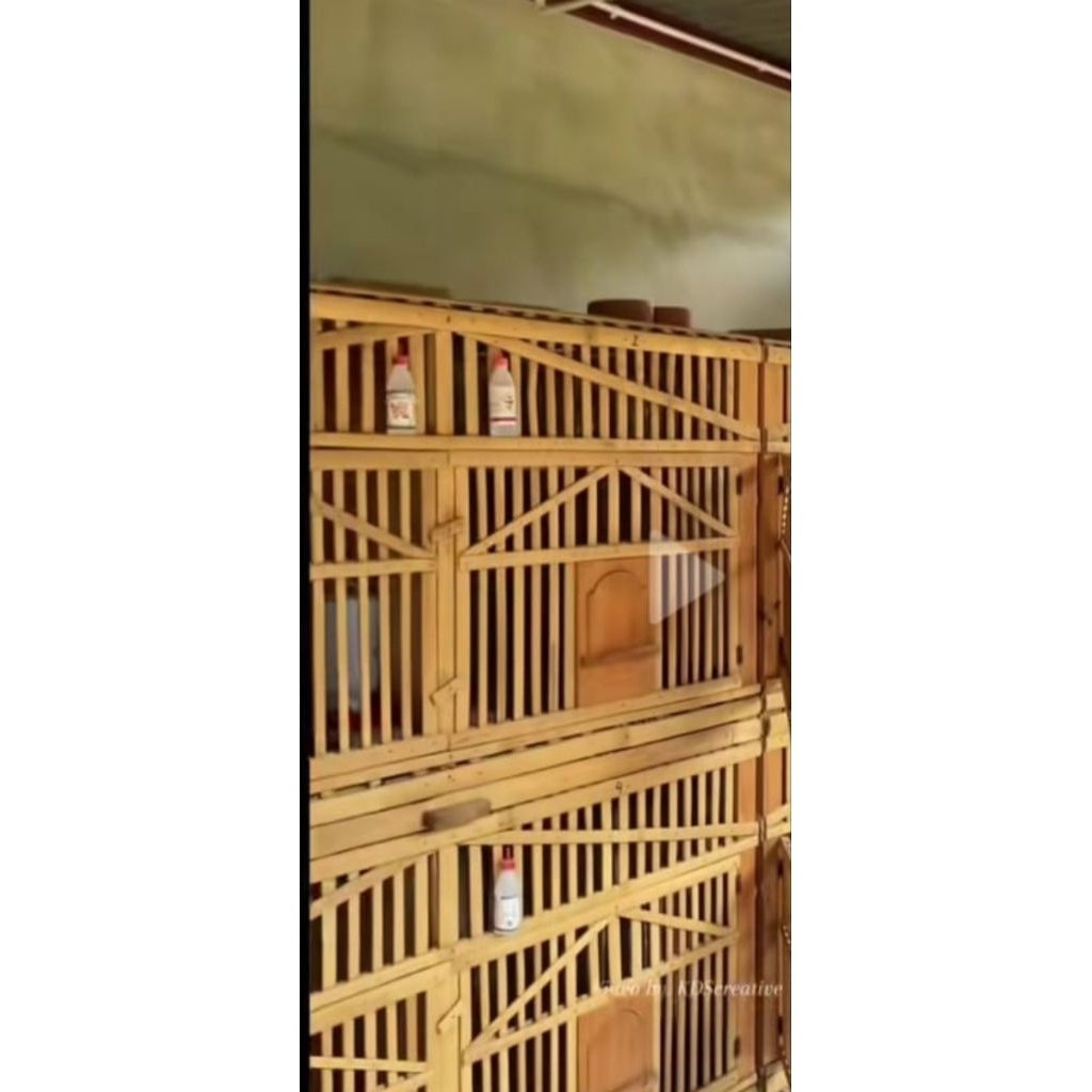 kandang 80x80x160 .