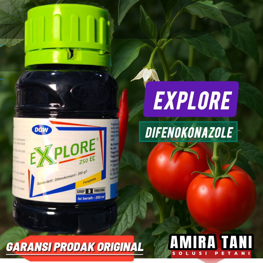 Fungisida explore 250 ml difenokonazole tanpa kaos