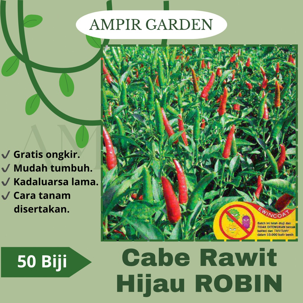 50 Biji Benih Cabai Rawit Hijau ROBIN F1 Unggul - Bibit Benih Sayuran Cabai Cabe Pedas