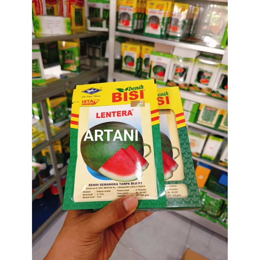 Benih Bibit Semangka Non Biji Lentera F1 (Tipe Lonjong oval mudah ditanam dirawat) isi 20 Gram Kadal