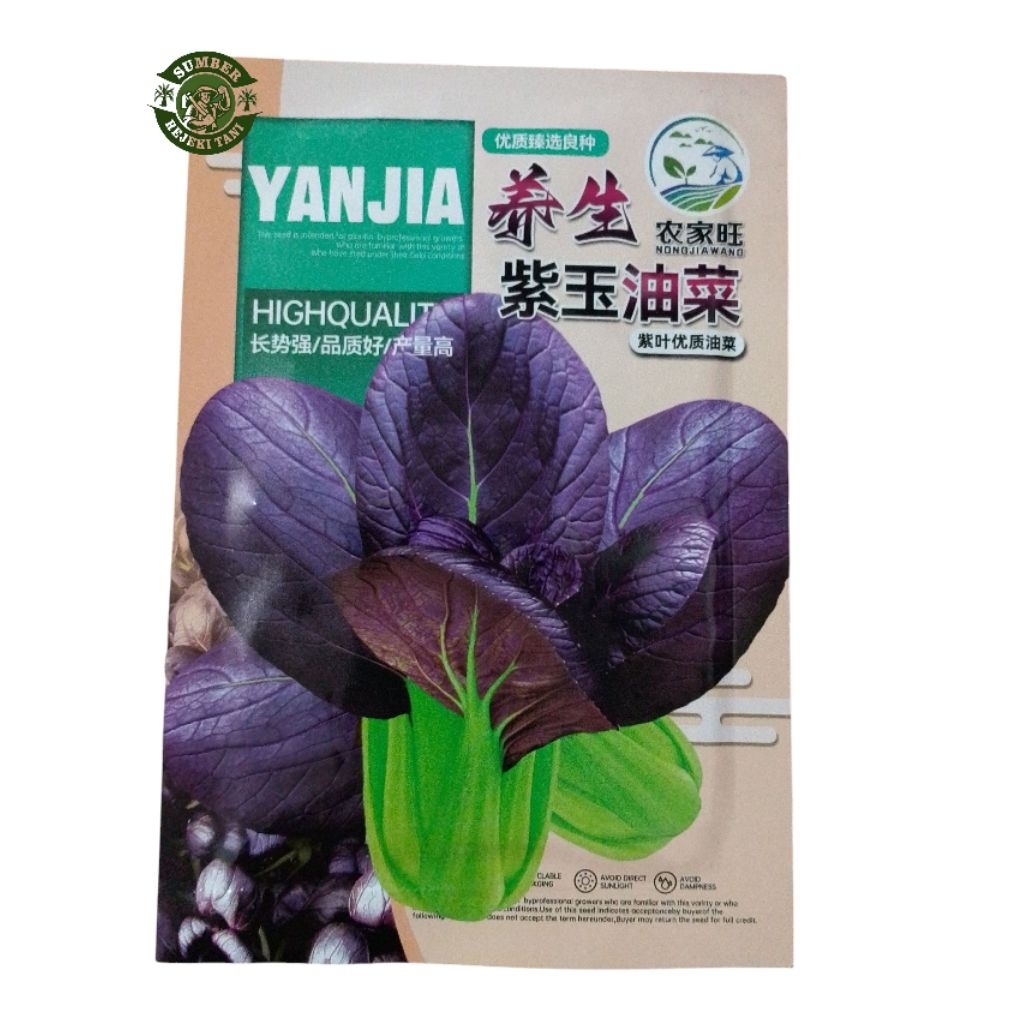 Benih Pakcoy Ungu cina