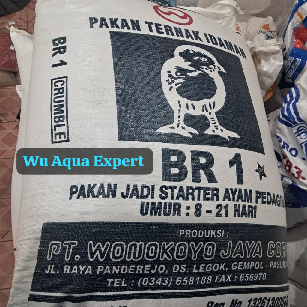 1SAK 50KG KARUNG BR1 BR 1 * BR I Wonokoyo Bintang PAKAN AYAM STARTER PEDAGING PUR CRUMBLE PAKAN TERN