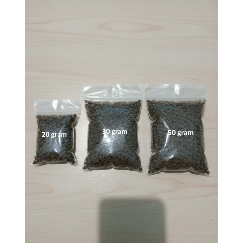 Benih Pepaya California kualitas terbaik