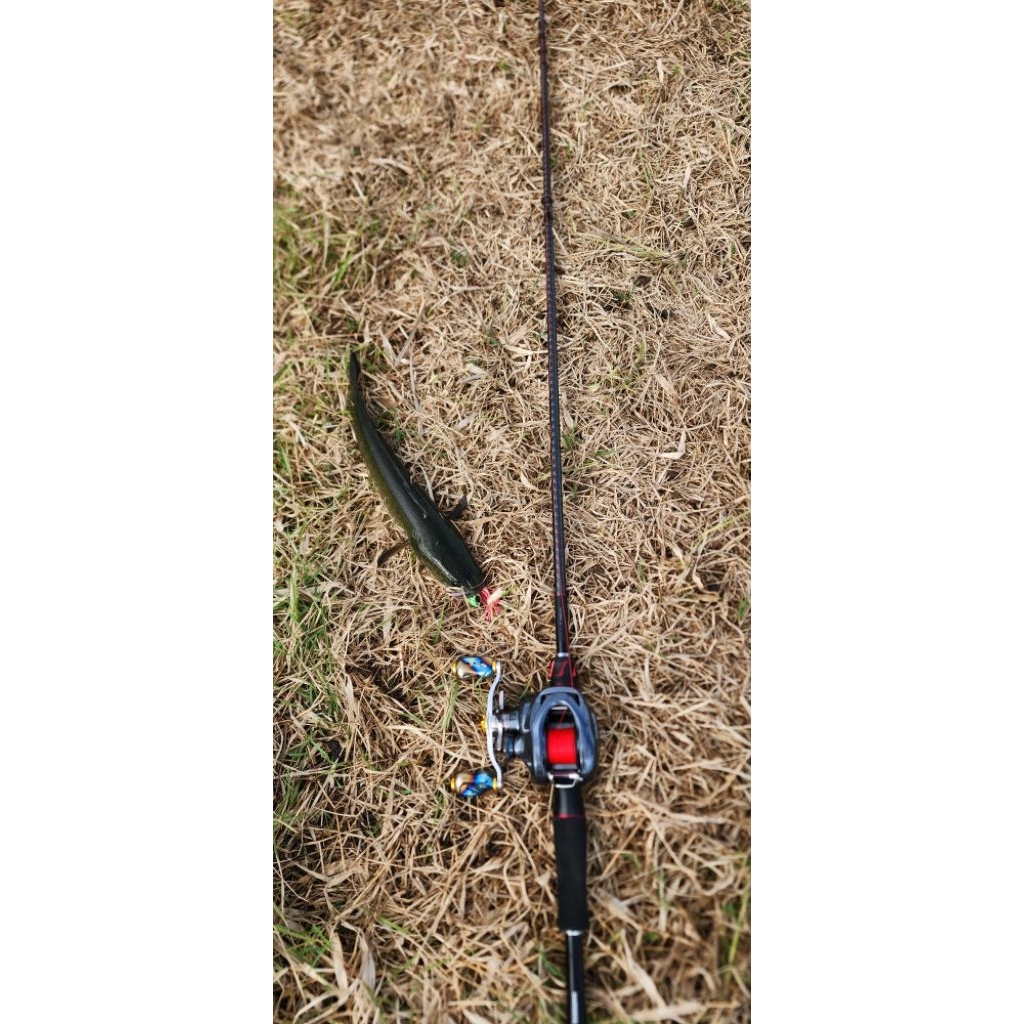 reel SLX DC XT dan Joran Shimano zodias