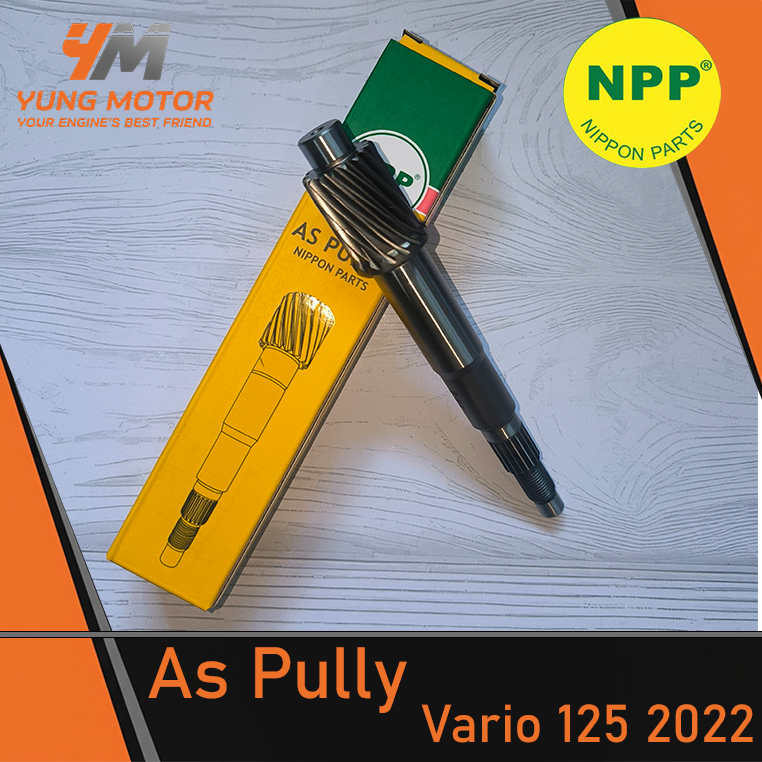 As Pully NPP - Vario 125 2022 (63100-VARIO 125 2022 NPP)