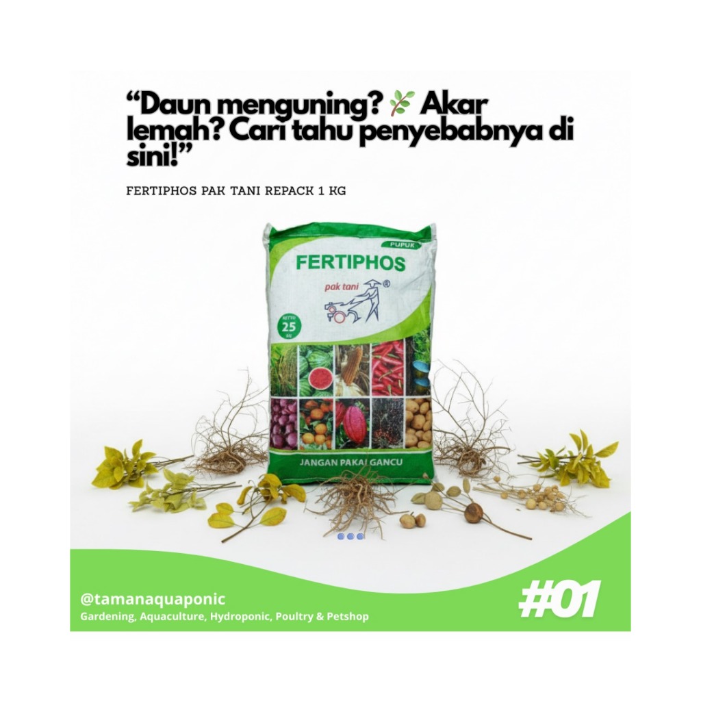 Pupuk Tsp Fertiphos Pak Tani Pupuk Dasar Tanaman Repack 1 Kg