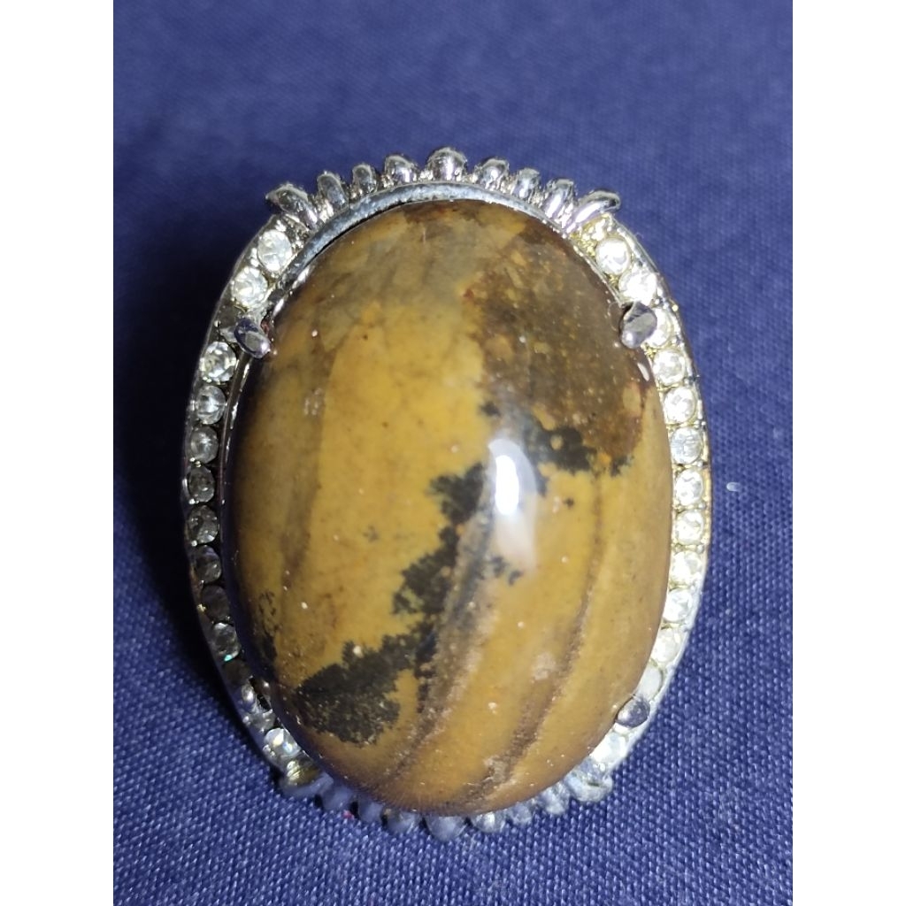 Natural Asem Petrified Wood, THORNY ROSE / Batu Fosil Kayu Asem, MAWAR BERDURI