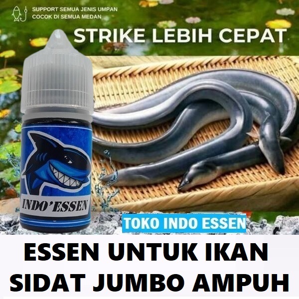 ESSEN IKAN SIDAT JUMBO PALING AMPUH | INDO ESSEN ISI 30ML